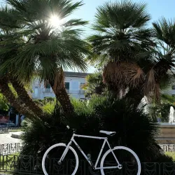 Piazza Vittorio Emanuele II - Campobasso