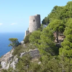 Anacapri - Capri