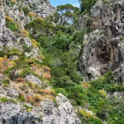 Faraglioni Rocks - Capri