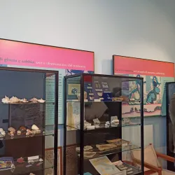 Museo Civico di Carmagnola - Carmagnola