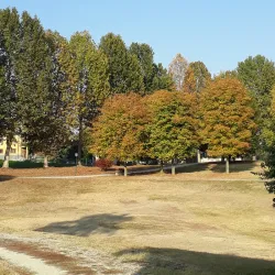 Museo Civico di Carmagnola - Carmagnola