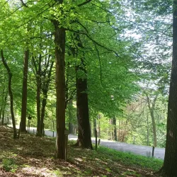 Parco della Rimembranza - Carmagnola