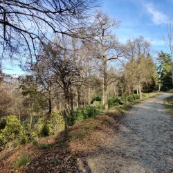 Parco della Rimembranza - Carmagnola