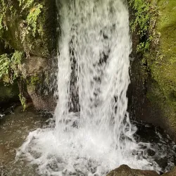 English Garden (Giardino Inglese) - Caserta