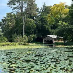 Villa Revedin Bolasco - Castelfranco Veneto
