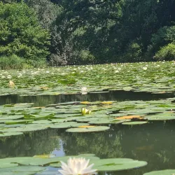 Villa Revedin Bolasco - Castelfranco Veneto
