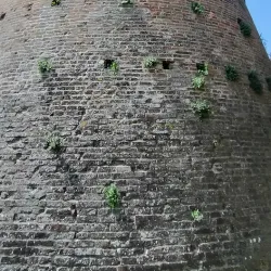 Chiesa di San Giovanni Battista - Castrocaro (Terra del Sole)