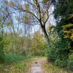Sentiero Naturalistico del Sillaro - Castrocaro (Terra del Sole)