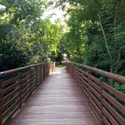 Sentiero Naturalistico del Sillaro - Castrocaro (Terra del Sole)