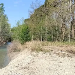 Sentiero Naturalistico del Sillaro - Castrocaro (Terra del Sole)