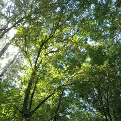 Sentiero Naturalistico del Sillaro - Castrocaro (Terra del Sole)