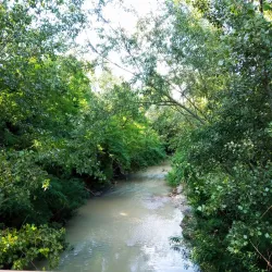 Sentiero Naturalistico del Sillaro - Castrocaro (Terra del Sole)