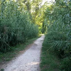 Sentiero Naturalistico del Sillaro - Castrocaro (Terra del Sole)