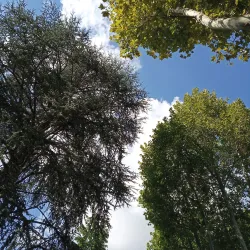 Sentiero Naturalistico del Sillaro - Castrocaro (Terra del Sole)