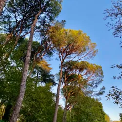 Sentiero Naturalistico del Sillaro - Castrocaro (Terra del Sole)