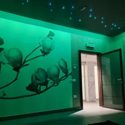 Terme di Castrocaro - Castrocaro (Terra del Sole)