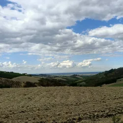 Villa di Terra del Sole - Castrocaro (Terra del Sole)