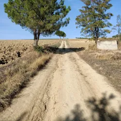 Villa di Terra del Sole - Castrocaro (Terra del Sole)