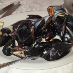 Belvedere di Catanzaro - Catanzaro