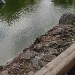 Parco della Biodiversità Mediterranea - Catanzaro