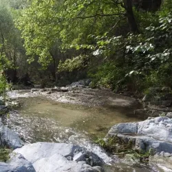 Parco della Biodiversità Mediterranea - Catanzaro