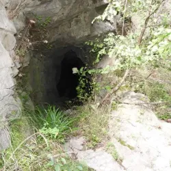 Parco della Biodiversità Mediterranea - Catanzaro