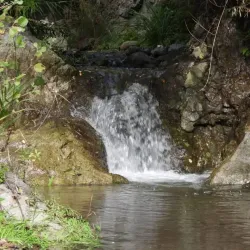 Parco della Biodiversità Mediterranea - Catanzaro