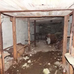 Parco della Biodiversità Mediterranea - Catanzaro