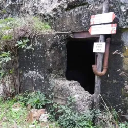 Parco della Biodiversità Mediterranea - Catanzaro