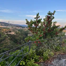 Villa Margherita - Catanzaro