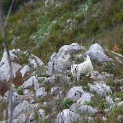 Monte Finestra - Cava de’ Tirreni