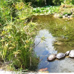 Villa Comunale - Cava de’ Tirreni