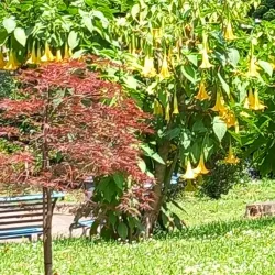 Villa Comunale - Cava de’ Tirreni