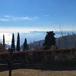 Chiesa di San Martino - Cesano Maderno