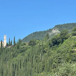 Chiesa di San Martino - Cesano Maderno