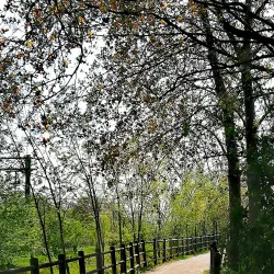 Parco delle Groane - Cesano Maderno
