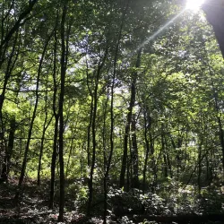 Parco delle Groane - Cesano Maderno