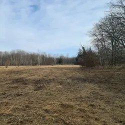 Parco delle Groane - Cesano Maderno