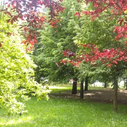 Parco Increa - Cesano Maderno