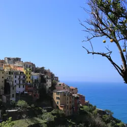 Corniglia - Cinque Terre (Cinqueterre)