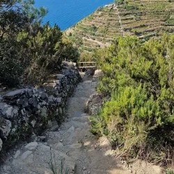 Via dell'Amore (Lover's Lane) - Cinque Terre (Cinqueterre)