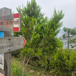 Via dell'Amore (Lover's Lane) - Cinque Terre (Cinqueterre)