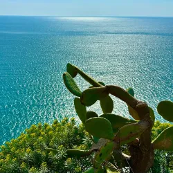 Via dell'Amore (Lover's Lane) - Cinque Terre (Cinqueterre)