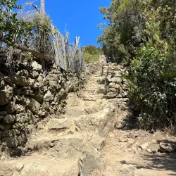 Via dell'Amore (Lover's Lane) - Cinque Terre (Cinqueterre)