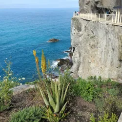 Via dell'Amore (Lover's Lane) - Cinque Terre (Cinqueterre)