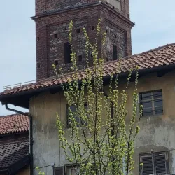 Chiesa di San Giuseppe - Ciriè