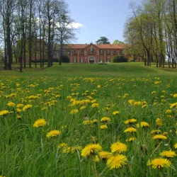 Parco della Mandria - Ciriè