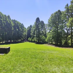 Parco della Mandria - Ciriè