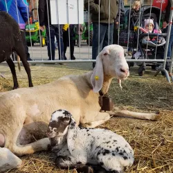 Villa Remmert Park - Ciriè