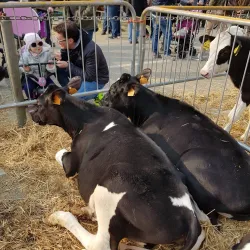 Villa Remmert - Ciriè